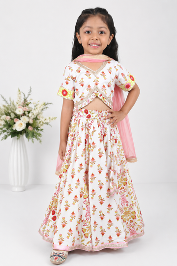 Alaya Block Printed Lehenga Set