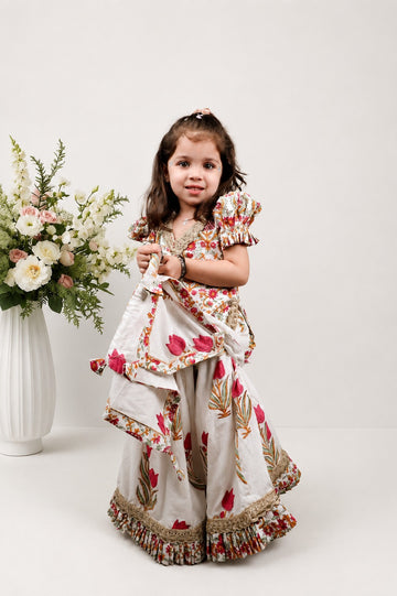 Mehnat Block Printed Lehenga Set